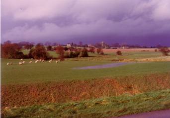 A field