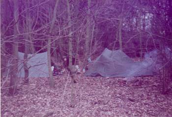Camping in the woods